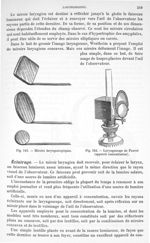 Fig. 242. Miroirs laryngoscopiques/ Fig. 243. Laryngoscope de Fauvet. - Traité de physique biologiqu [...]