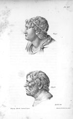 Fig. 1. The Emperor Nero / Fig. 2. Seneca the Philisopher - Phrenology in connexion with the study o [...]