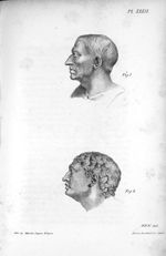 Fig. 1. M. T. Cicero / Fig. 2. The Gladiator, from the antique statue, in the Royal Museum at Paris  [...]