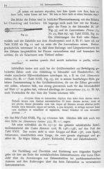 Fig. 33. Zahnfeile der Inkunabel. - Beiträge zur Geschichte der Chirurgie im Mittelalter, graphische [...]