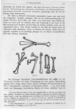 Fig. 36. Zahninstrumente des Walther H. Ryff, 1542. - Beiträge zur Geschichte der Chirurgie im Mitte [...]