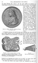 Fig. 28. Bellini, 1643-1701 / Fig. 29. Rein de mouton / Fig. 30. Rein de mouton -  Encyclopédie fran [...]