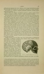 Fig. 9 - Canaux veineux des os du crâne - Nouveaux éléments d'anatomie descriptive et d'embryologie