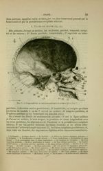 Fig. 11 - Coupe médiane et antéro-postérieure du crâne et de la face - Nouveaux éléments d'anatomie  [...]