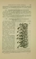 Fig. 34 - Articulation vertébrales et costo-vertébrales, face antérieure et latérale - Nouveaux élém [...]