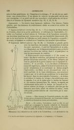 Fig. 44 - Mécanisme de la pronation et de la supination - Nouveaux éléments d'anatomie descriptive e [...]
