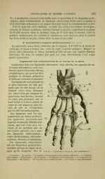 Fig. 46 - Ligaments de la main ; face antérieure - Nouveaux éléments d'anatomie descriptive et d'emb [...]