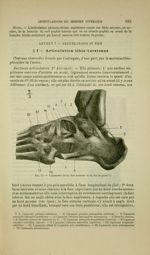Fig. 55 - Ligaments de la face externe et du dos du pied - Nouveaux éléments d'anatomie descriptive  [...]