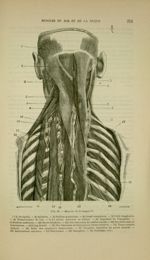 Fig. 63 - Muscles de la nuque - Nouveaux éléments d'anatomie descriptive et d'embryologie