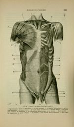 Fig. 66 - Muscles du tronc ; face antérieure - Nouveaux éléments d'anatomie descriptive et d'embryol [...]