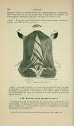 Fig. 74 - Muscle peaucier du cou - Nouveaux éléments d'anatomie descriptive et d'embryologie