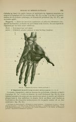 Fig. 91 - Muscles de la main ; couche profonde - Nouveaux éléments d'anatomie descriptive et d'embry [...]