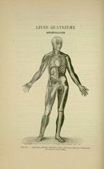 Fig. 111 - Angéiologie générale (Benjamin Anger, Nouveaux éléments d'Anatomie chirurgicale, Paris, 1 [...]