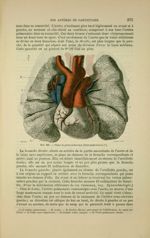 Fig. 125 - Coeur et gros vaisseaux (face antérieure) - Nouveaux éléments d'anatomie descriptive et d [...]