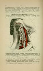 Fig. 134 - Artères thyroïdienne inférieure et cervicale profonde - Nouveaux éléments d'anatomie desc [...]