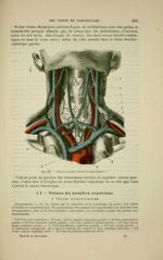 Fig. 161 - Troncs veineux brachio-céphaliques - Nouveaux éléments d'anatomie descriptive et d'embryo [...]
