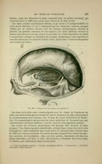 Fig. 162 - Sinus de la dure-mère, vue latérale - Nouveaux éléments d'anatomie descriptive et d'embry [...]