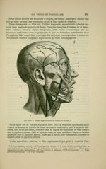 Fig. 164 - Veines superficielles de la face et du cou - Nouveaux éléments d'anatomie descriptive et  [...]