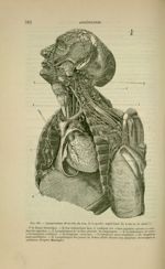 Fig. 169 - Lymphatique de la tête, du cou, de la partie supérieure du tronc et du coeur - Nouveaux é [...]