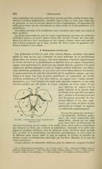 Fig. 205 - Schéma d'une coupe des pédoncules cérébraux - Nouveaux éléments d'anatomie descriptive et [...]