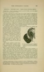 Fig. 209 - Coupe horizontale pratiquée à la naissance des pédoncules cérébraux. Origine de l'oculo-m [...]
