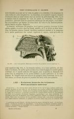 Fig. 215 - Nerf naso-palatin. Rameaux carotidiens du ganglion cervical supérieur - Nouveaux éléments [...]