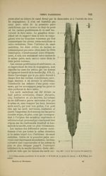 Fig. 227 - Nerfs de la queue de cheval - Nouveaux éléments d'anatomie descriptive et d'embryologie