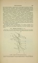 Fig. 229 - Figure schématique du plexus cervical - Nouveaux éléments d'anatomie descriptive et d'emb [...]