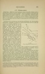 Fig. 242 - Figure schématique du plexus sacré - Nouveaux éléments d'anatomie descriptive et d'embryo [...]