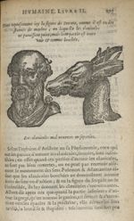 Figure de Socrate ... - La physionomie humaine de Jean Baptiste Porta...diviséee en quatre livres... [...]