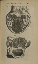 Planche VIII - L'Anatomie du corps humain avec ses maladies, & les remedes pour les guerir. Nouvelle [...]
