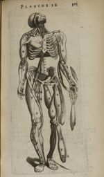 Planche II - L'Anatomie du corps humain avec ses maladies, & les remedes pour les guerir. Nouvelle e [...]