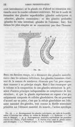 Fig. 18. Glandes sudoripares - La pathologie cellulaire basée sur l'étude physiologique et pathologi [...]