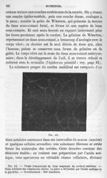 Fig. 42. Coupe transversale du tissu muqueux du cordon ombilical - La pathologie cellulaire basée su [...]