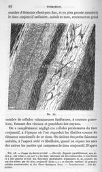 Fig. 45. Coupe du dartos scrotal - La pathologie cellulaire basée sur l'étude physiologique et patho [...]