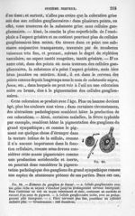 Fig. 88. Eléments du ganglion de Gasser - La pathologie cellulaire basée sur l'étude physiologique e [...]