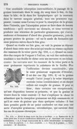 Fig. 110. Acini du foie se touchant - La pathologie cellulaire basée sur l'étude physiologique et pa [...]