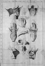 Exposition anatomique de la structure du corps humain : tome IV, partie I