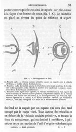 Fig. 1. Développement de l'oeil - Leçons d'anatomie générale faites au Collège de France, par L. Ran [...]