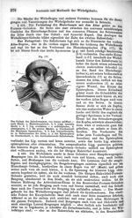 Fig 177 - Das Gelenk des Zahnfortsatzes, von hinten geöffnet - nach Henle - Die chirurgischen krankh [...]