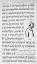 Fig. 21 - Traité de médecine opératoire, bandages et appareils. 4è éd. Tome second