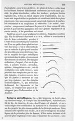 Fig. 93 - Traité de médecine opératoire, bandages et appareils. 4è éd. Tome second