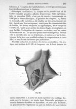 Fig. 185 - Traité de médecine opératoire, bandages et appareils. 4è éd. Tome second