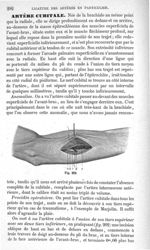Fig. 202 - Traité de médecine opératoire, bandages et appareils. 4è éd. Tome second