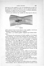 Fig. 212 - Traité de médecine opératoire, bandages et appareils. 4è éd. Tome second