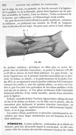 Fig. 214 - Traité de médecine opératoire, bandages et appareils. 4è éd. Tome second
