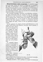 Fig. 255 - Traité de médecine opératoire, bandages et appareils. 4è éd. Tome second