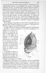 Fig. 263 - Traité de médecine opératoire, bandages et appareils. 4è éd. Tome second