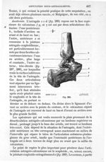Fig. 289 - Traité de médecine opératoire, bandages et appareils. 4è éd. Tome second