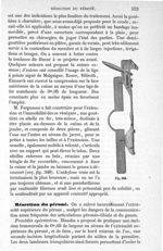 Fig. 348 - Traité de médecine opératoire, bandages et appareils. 4è éd. Tome second